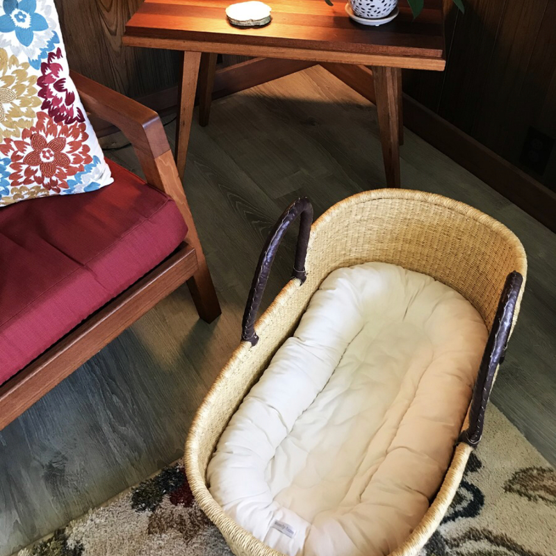 Snuggle me in moses sales basket